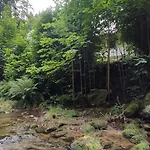 Wilczka Miedzygorze