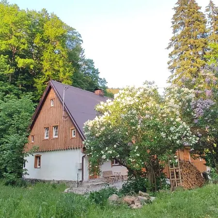 Wilczka Мендзыгуже