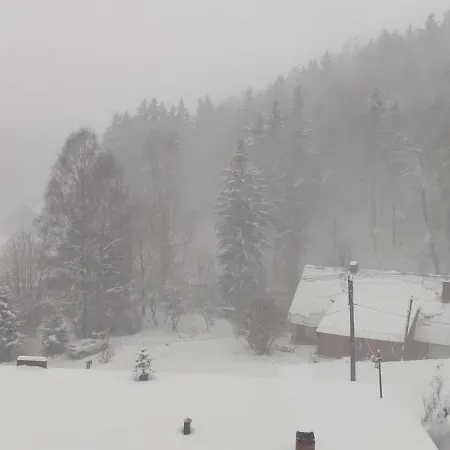 Wilczka *