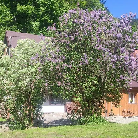 Wilczka Apartment Miedzygorze