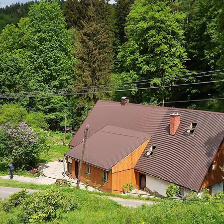 Apartament Wilczka *