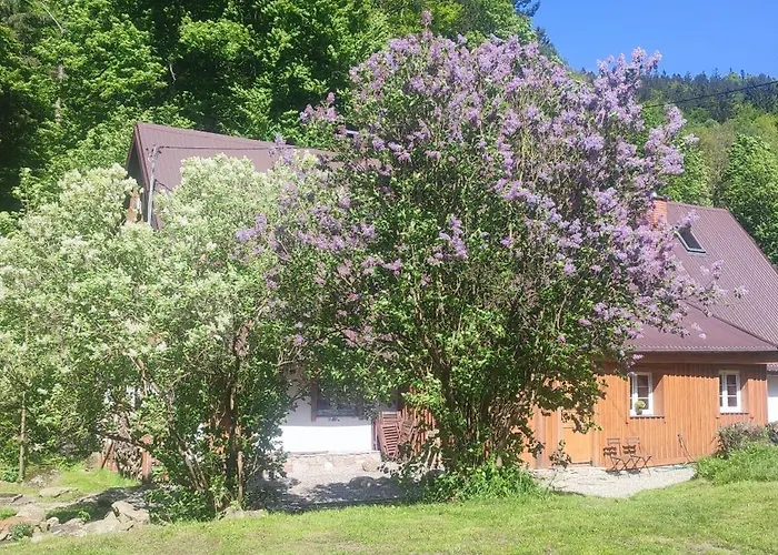 Wilczka Apartment Miedzygorze