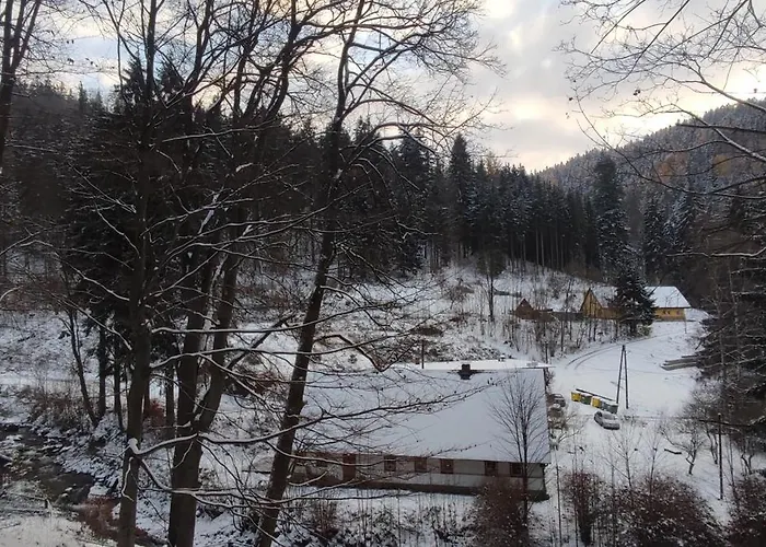 Wilczka Apartment Miedzygorze