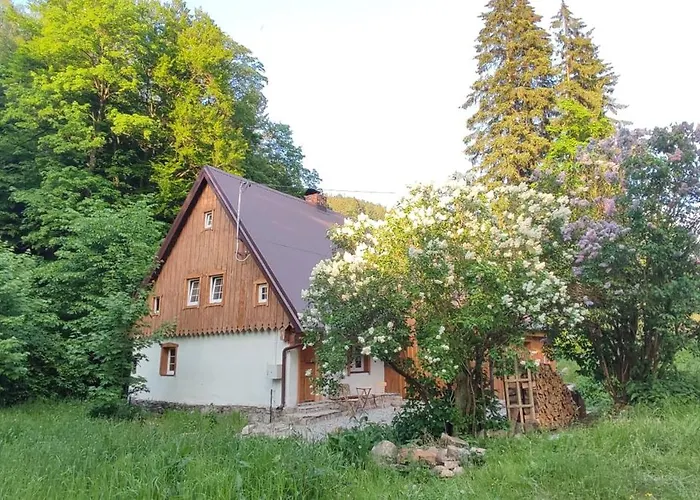 Apartment Wilczka Miedzygorze